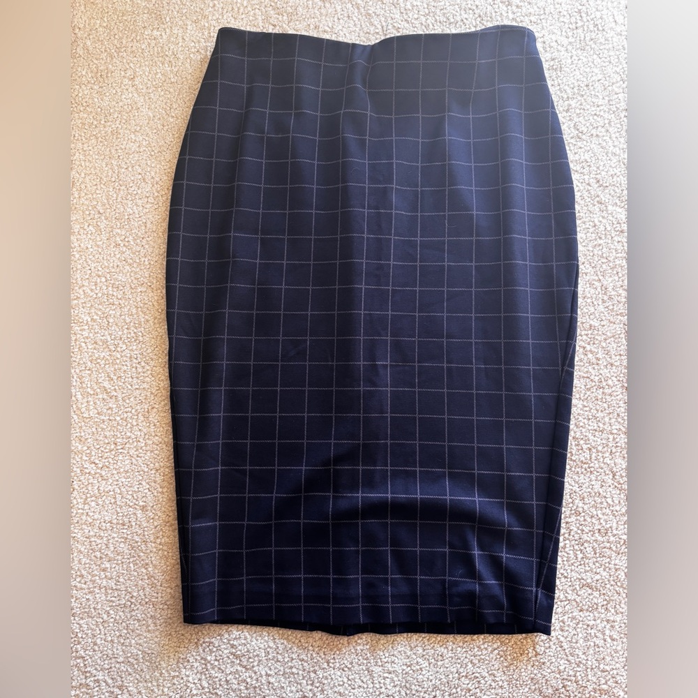 A Pea in the Pod Maternity Skirt
